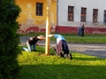 IMG_20140531_193241