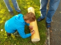 IMG_20140531_194212