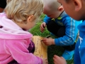 IMG_20140531_194353
