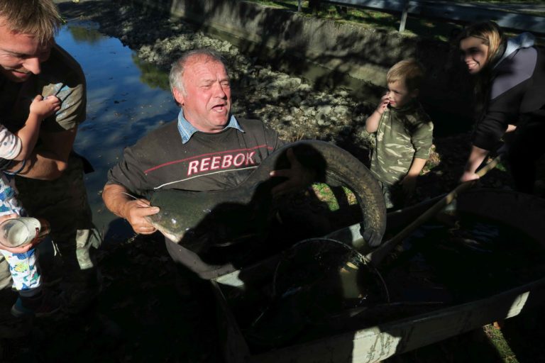 2019/říjen Výlov rybníka