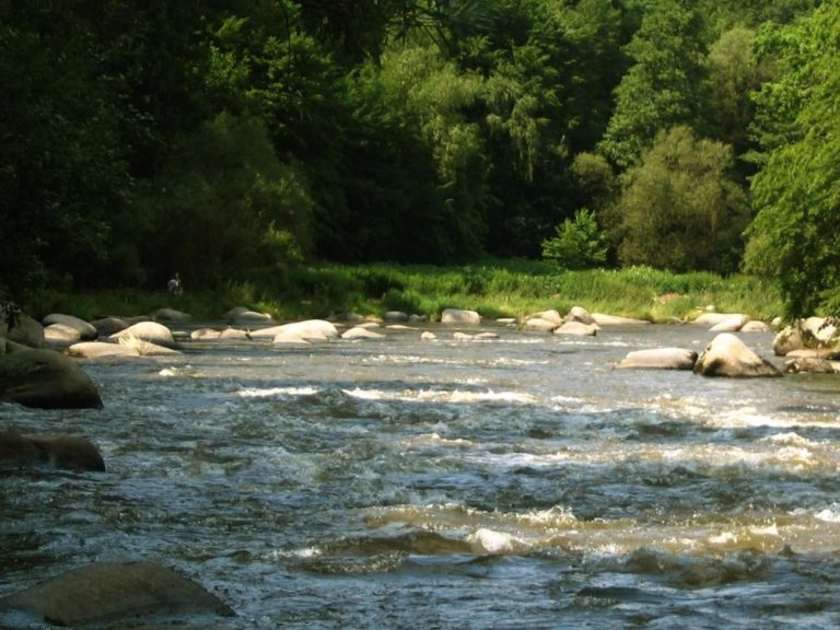 Sjezd řeky Sázavy   08. srpna 2021