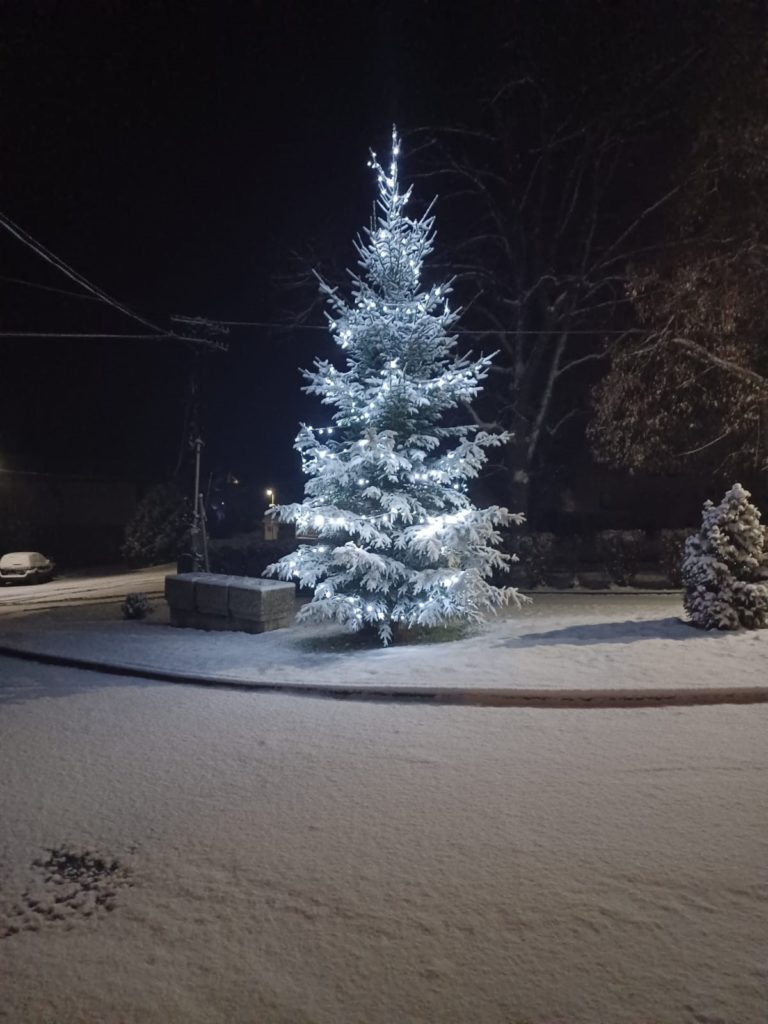 26. 11. 2022 Vánoční strom